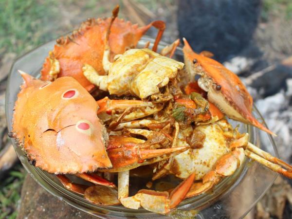 Sri lanka food holiday, small group