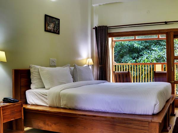 Tigers and rhinos tours in India