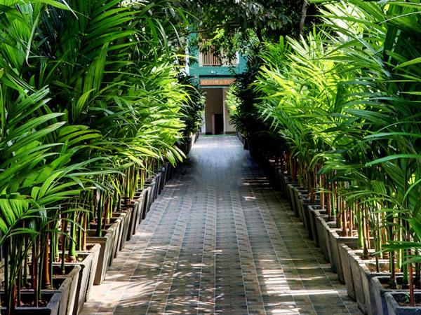 Tigers and rhinos tours in India