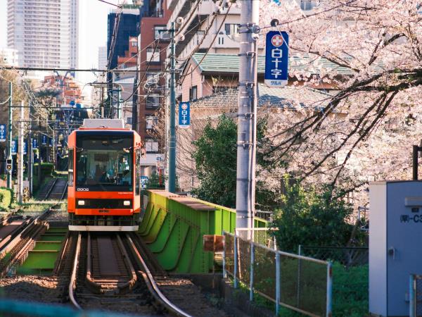 Japan classic tour by rail 