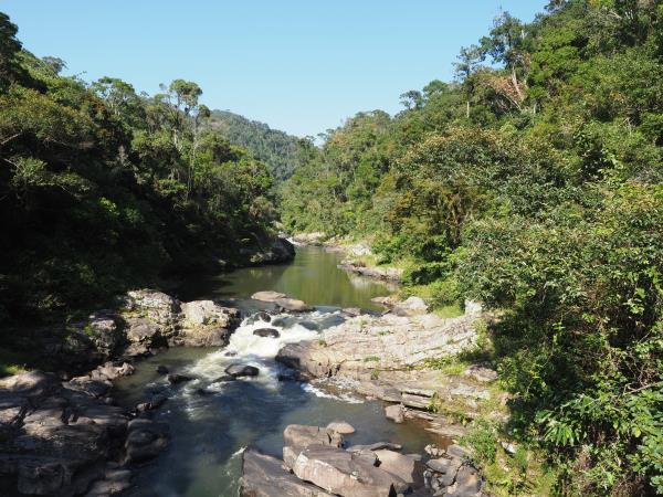 Madagascar private tour, tailor made