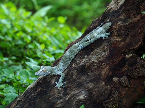 Northern Madagascar tailor made tour
