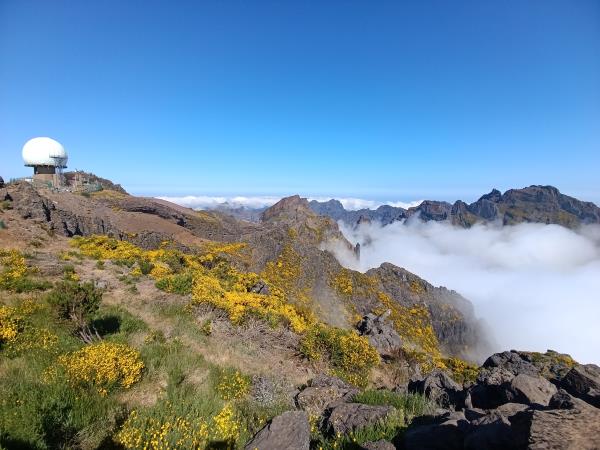 Madeira small group holiday