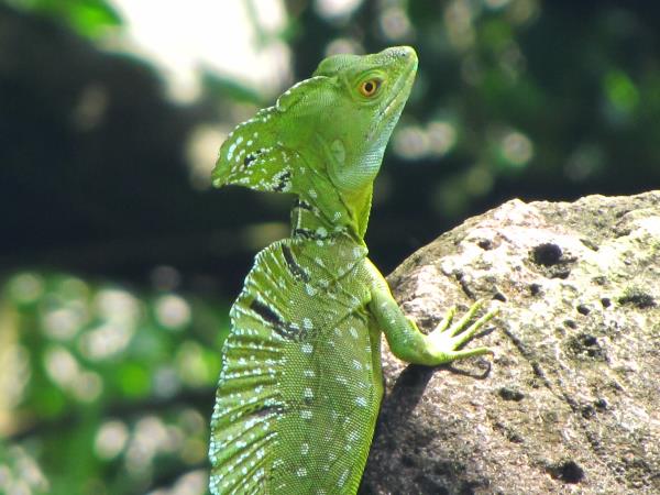 Family holiday in Nicaragua, tailor made