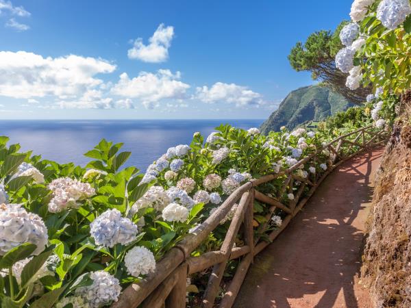 Small Group Tour of S�o Miguel Island, Azores