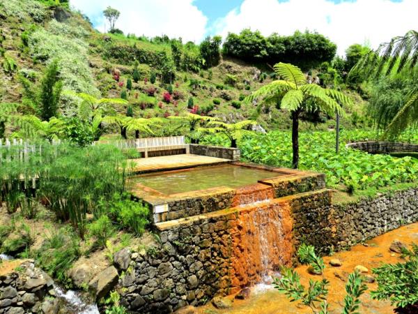 Small Group Tour of S�o Miguel Island, Azores