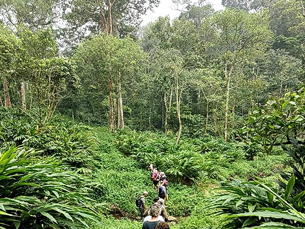 Western Ghats walking tour in India