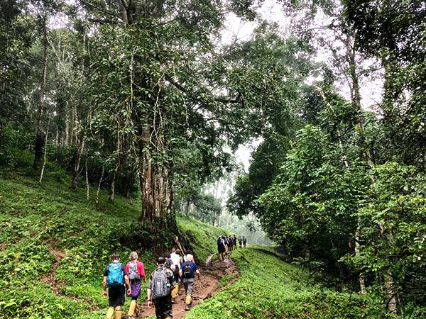 Western Ghats walking tour in India