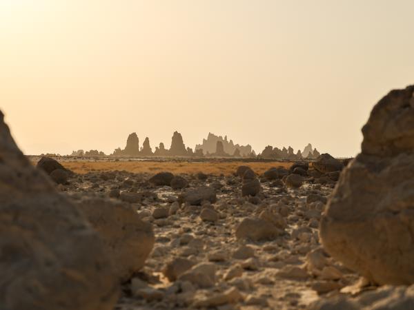 Djibouti, Somaliland and Somalia tour
