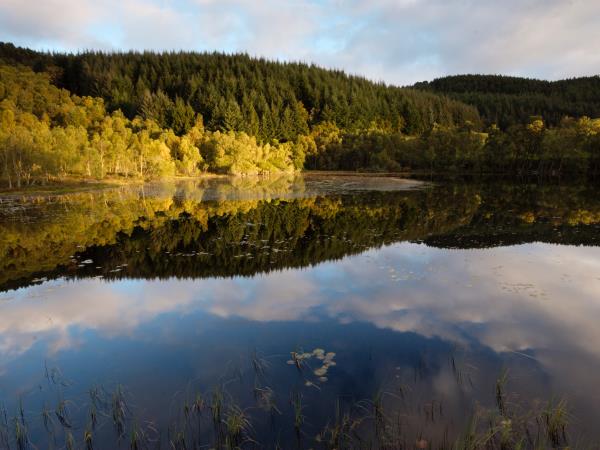 Scotland wildlife holiday
