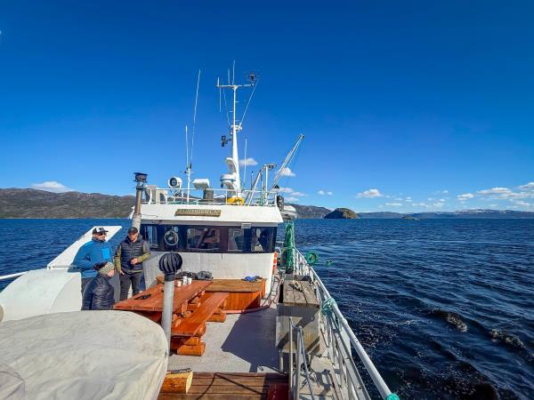 Norwegian fjords whale watching holiday