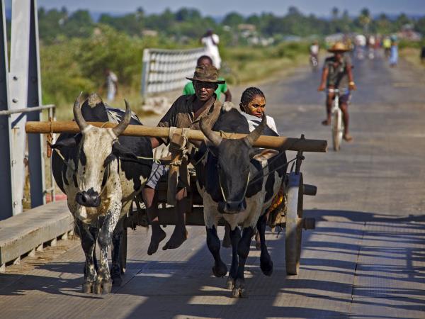 Northern Madagascar tailor made tour