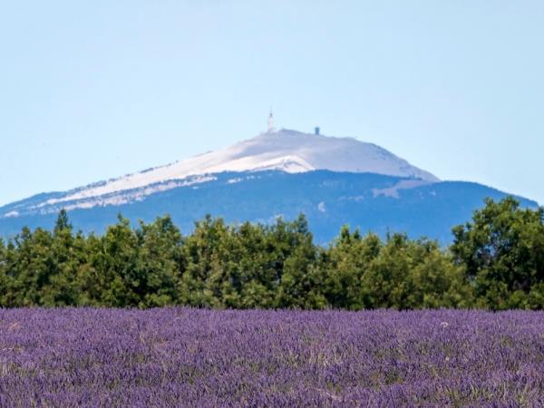 France cycling holiday, Tour De France
