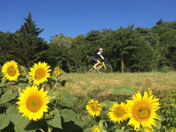 Rhone Valley cycling holiday, Tour De France