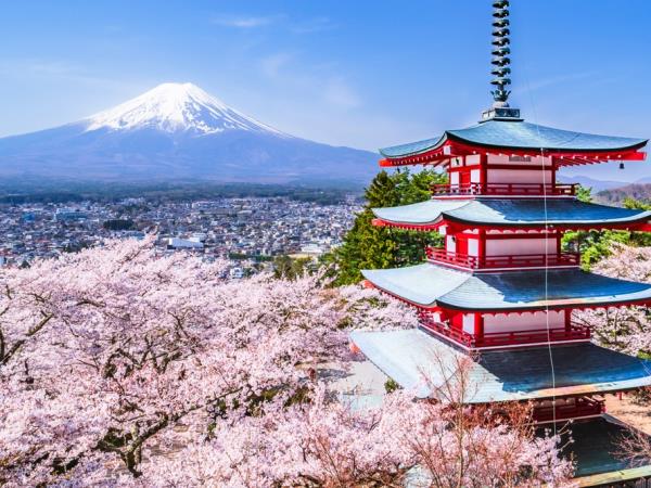 Luxury Japan tour and Indonesia cruise