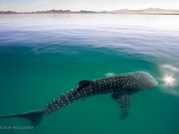 Baja California vacation, Mexico