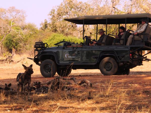 Zambia luxury safari holiday