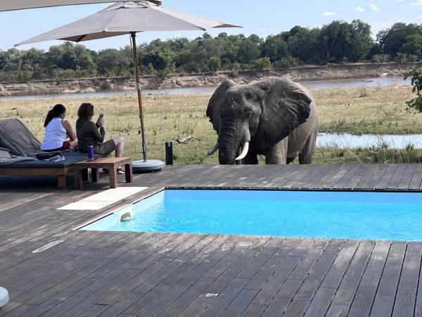 Zambia luxury safari holiday