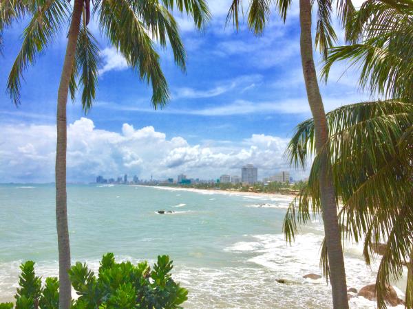 Vegan holiday in Sri Lanka 