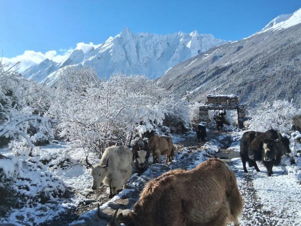Manaslu Circuit with Tsum Valley trek in Nepal 