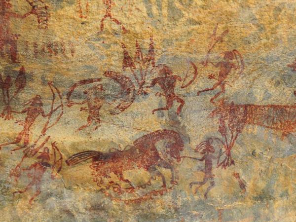 Central India holiday, culture and wildlife
