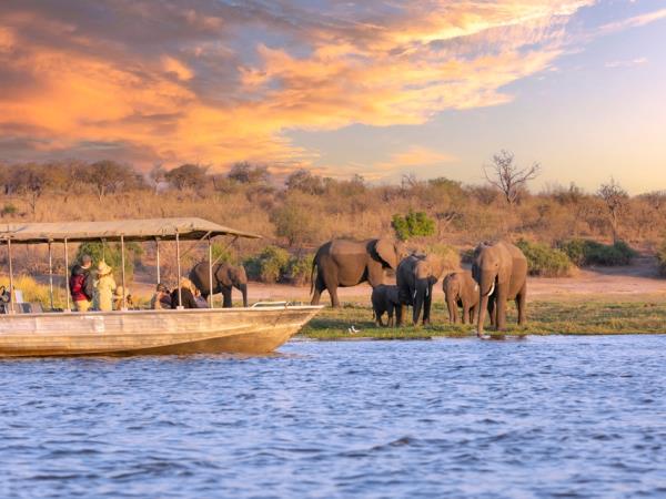 Botswana luxury family safari