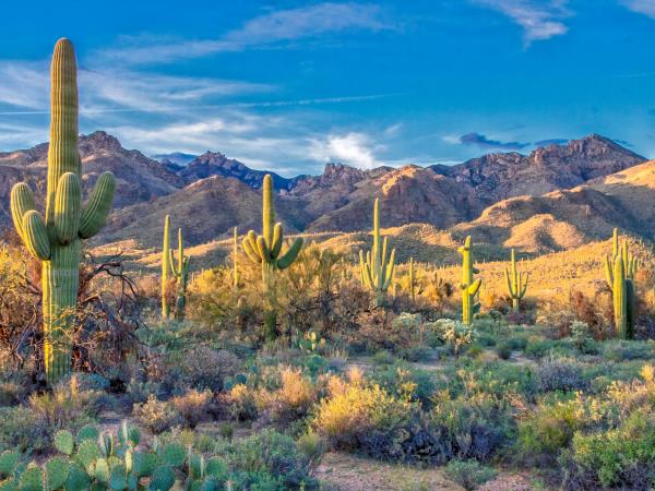 American South West self drive holiday