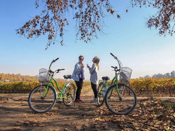 Argentina and falls adventure tour