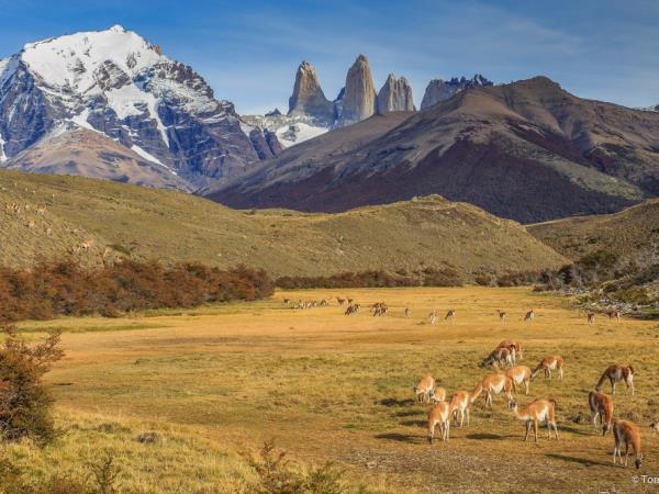 Argentina and falls adventure tour