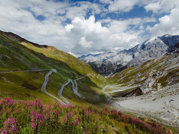 French Alps and Rhone Valley cycling holiday