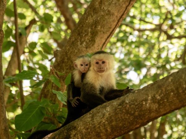 Costa Rica Caribbean coast holiday