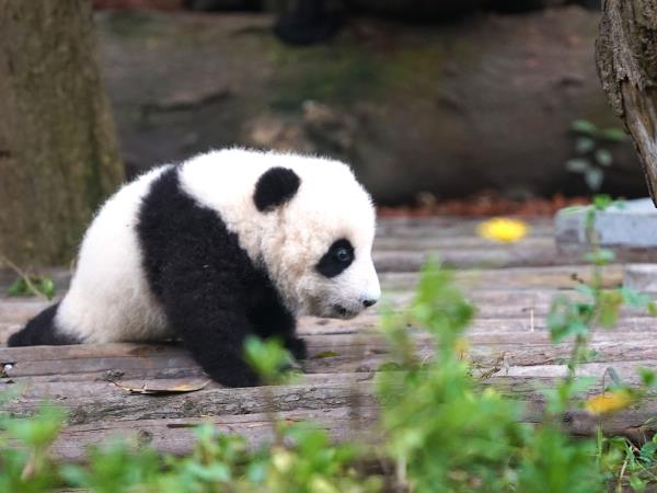 China active & cultural holiday, 16 days