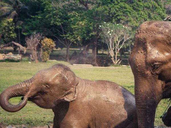 Thailand private culture and adventure tour