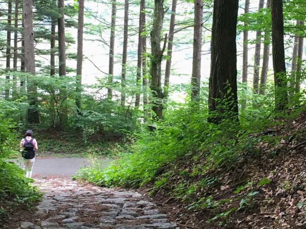 Classic Japan holiday with Nakasendo Trail