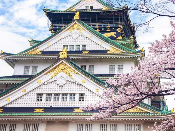 Japan cultural holiday with Kumano Kodo trail