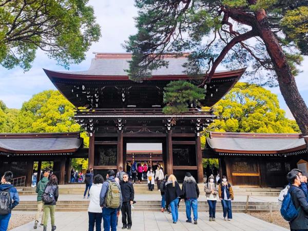Japan cultural holiday with Kumano Kodo trail