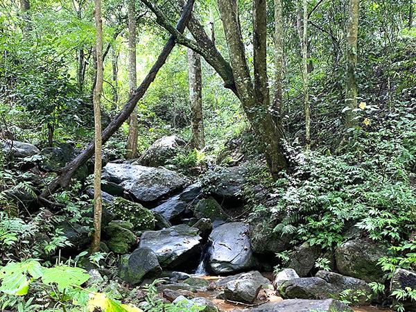 South India walking, culture & wildlife holiday, India