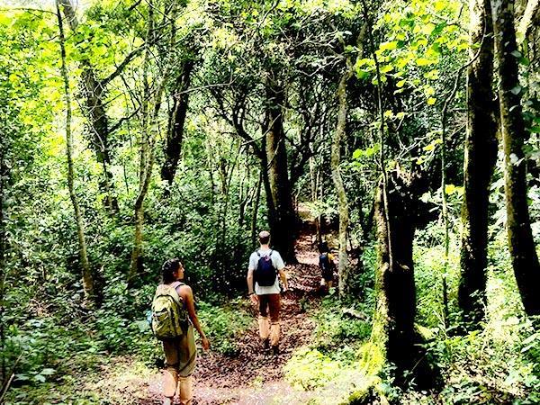 South India walking, culture & wildlife holiday, India