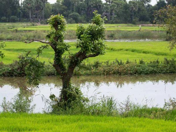 Cambodia private culture and adventure tour