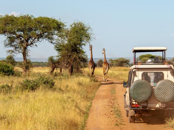 Tanzania safari holiday, tailor made