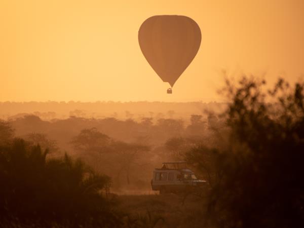 Tanzania safari holiday, tailor made