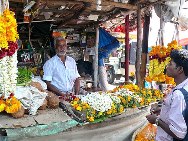 South India luxury family holiday