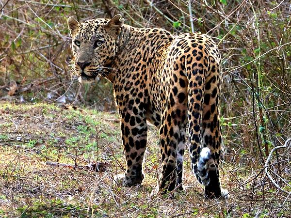South India luxury family holiday