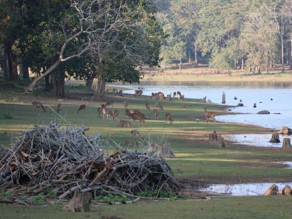 South India luxury family holiday
