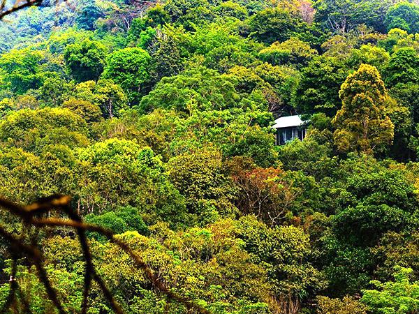 South India luxury family holiday