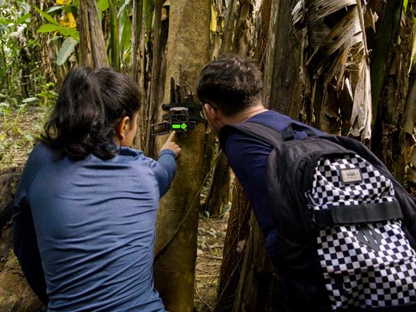 Costa Rica turtle conservation experience 