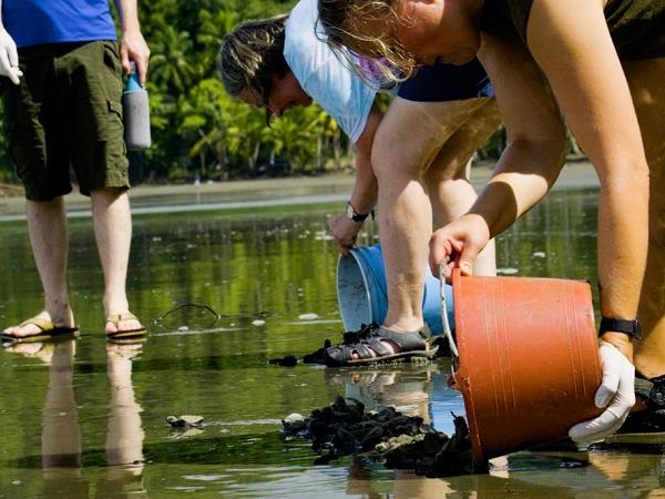 Costa Rica turtle conservation experience 