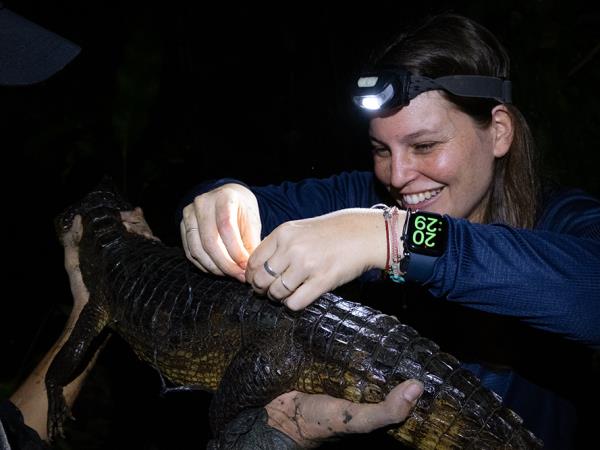 Costa Rica turtle conservation experience 