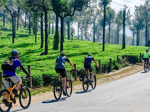 Cycling holidays in Kerala