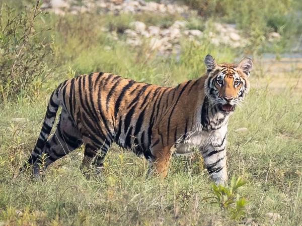 Nepal and Tibet cultural tour, 16 days